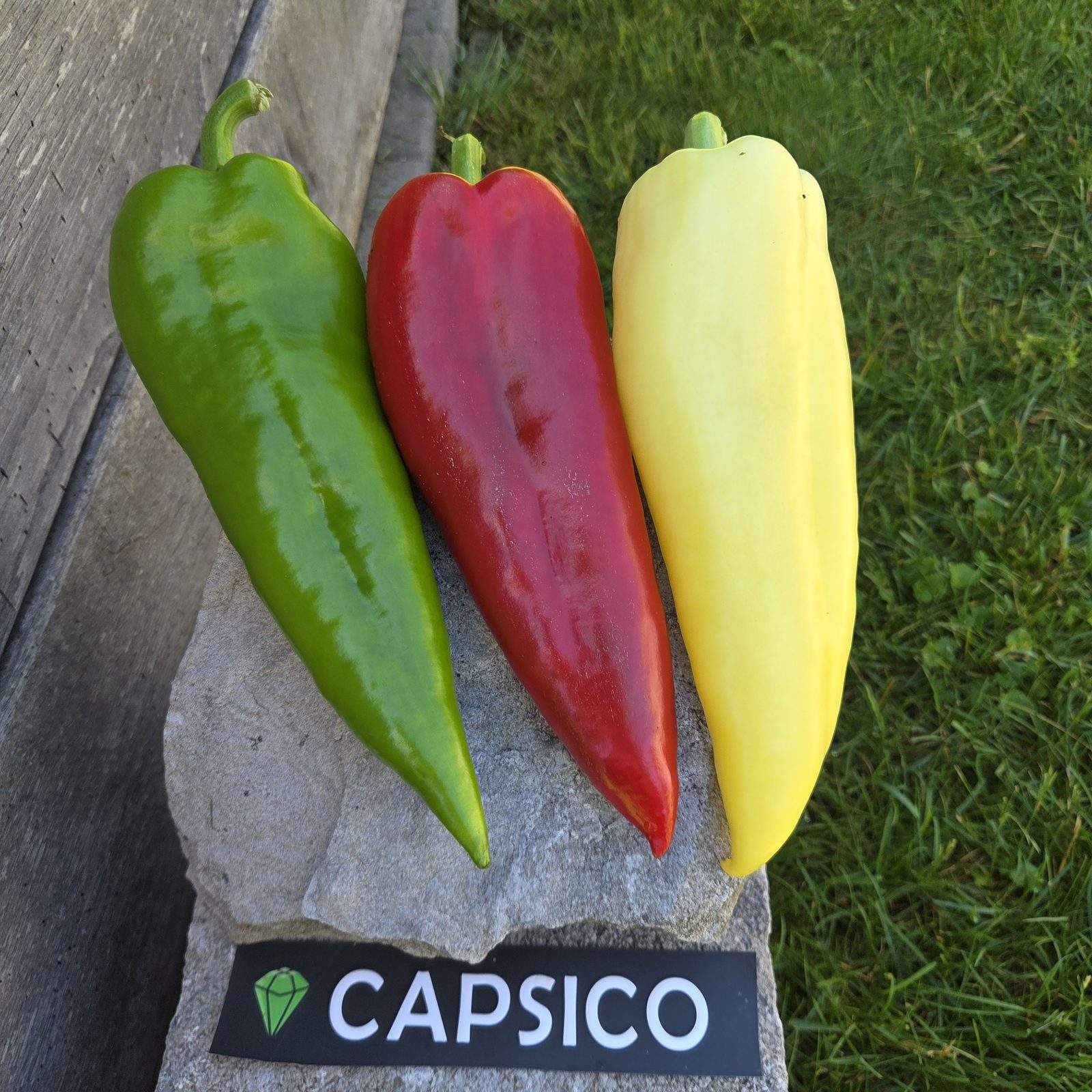 Paprika