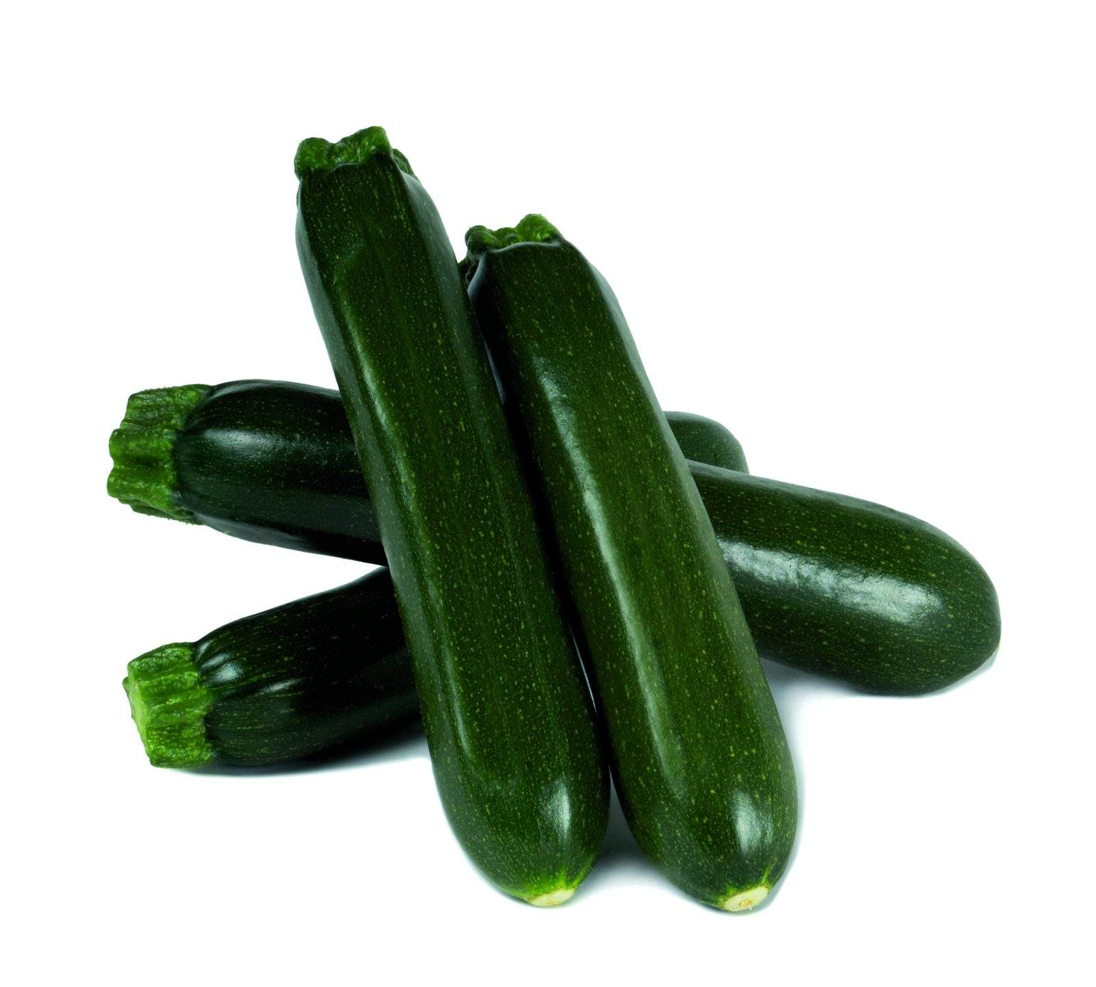 Nerita
